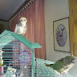 Meet your Posher, Sue